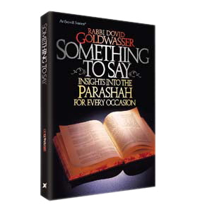 Something To Say — by Rabbi Dovid Goldwasser | Judaica Square Lakewood