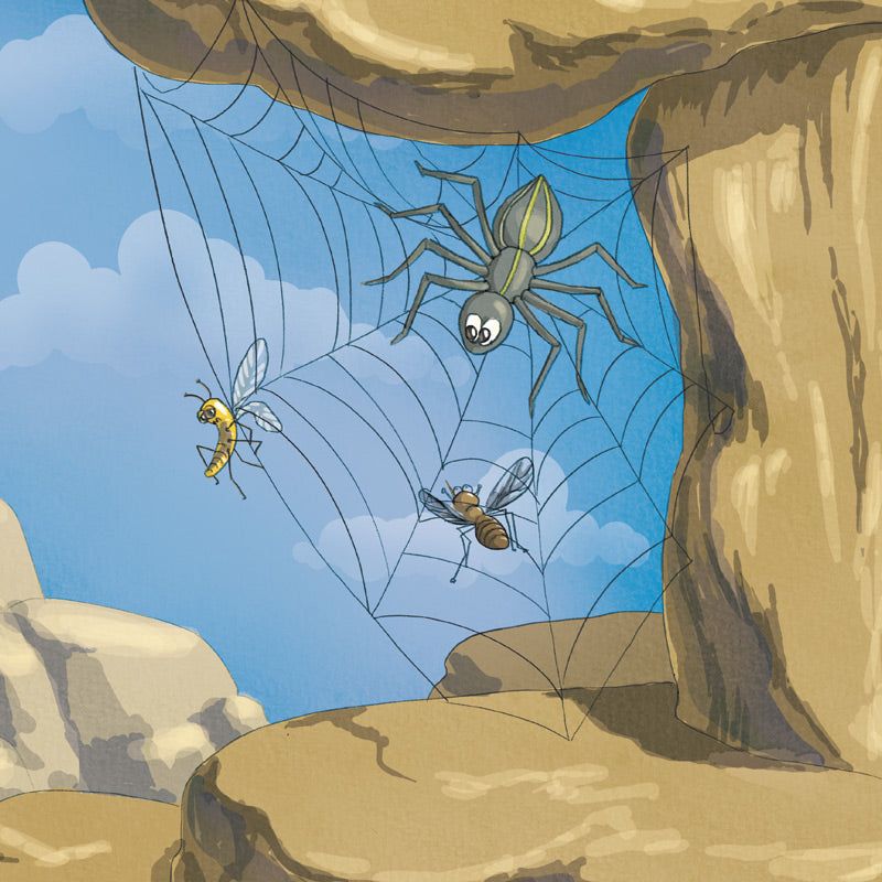 Speedy the Spider's Secret Mission