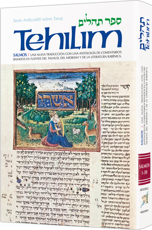 Spanish Tehillim / Psalms Vol. 1 — by Rabbi Avrohom Chaim Feuer | Judaica Square Lakewood