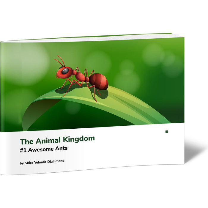 The Animal Kingdom #1 Awesome Ants — Shira Yehudit Djalilmand softcover | Judaica Square Lakewood