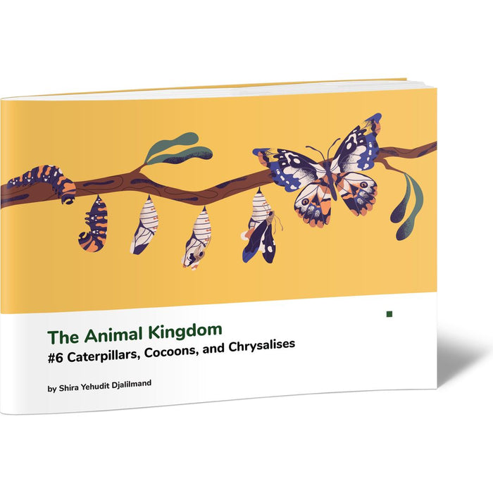 The Animal Kingdom #6 Caterpillars, Cocoons, and Chrysalises — Shira Yehudit | Judaica Square Lakewood