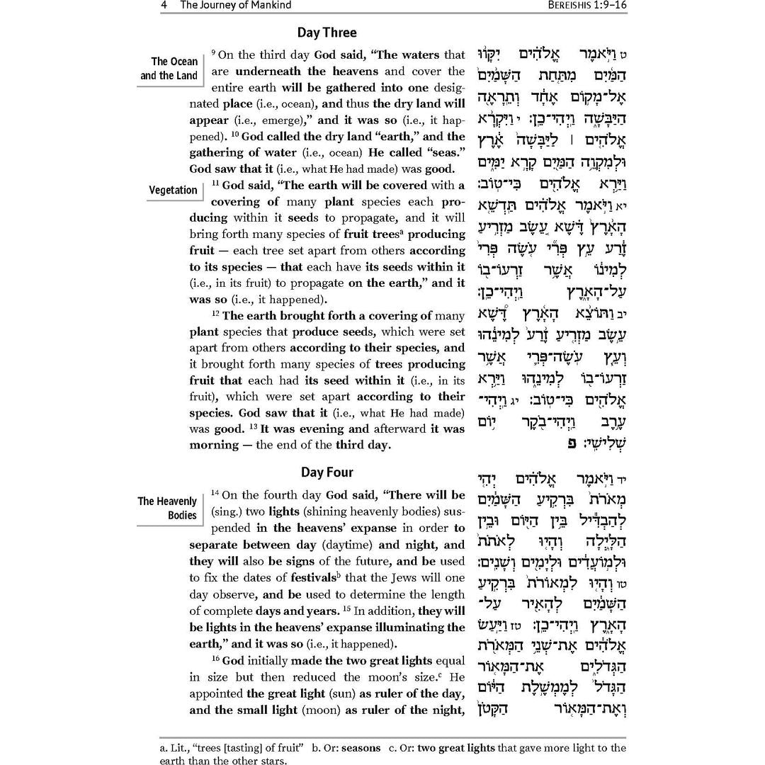 The Journey of Mankind: From Creation to Avraham Avinu
