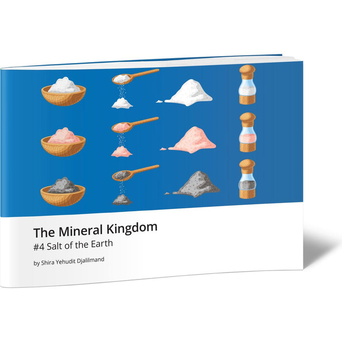 The Mineral Kingdom #4 Salt of the Earth — Shira Yehudit Djalilmand softcover | Judaica Square Lakewood