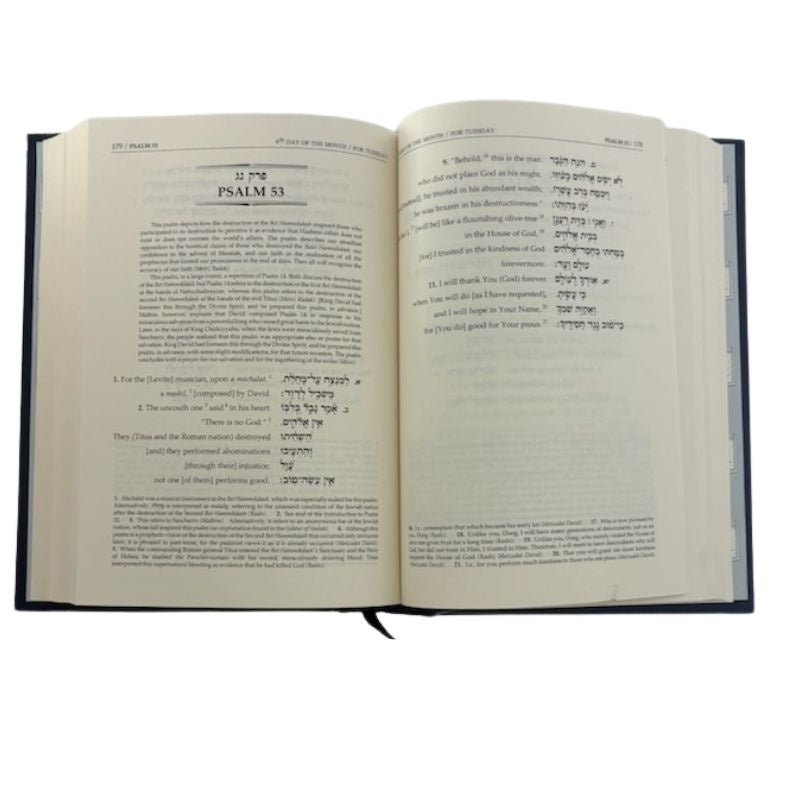 Tehillim with Linear English Translation, The Orot Tehillim, open interior pages view