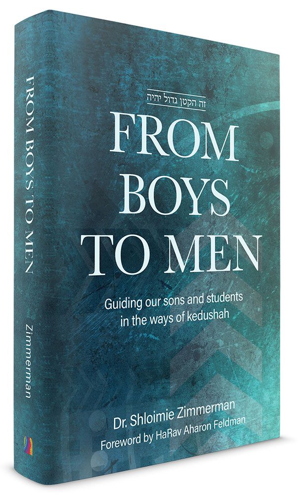 3D view of From Boys to Men: Guiding Our Sons and Students in the Ways of Kedushah, hardcover edition