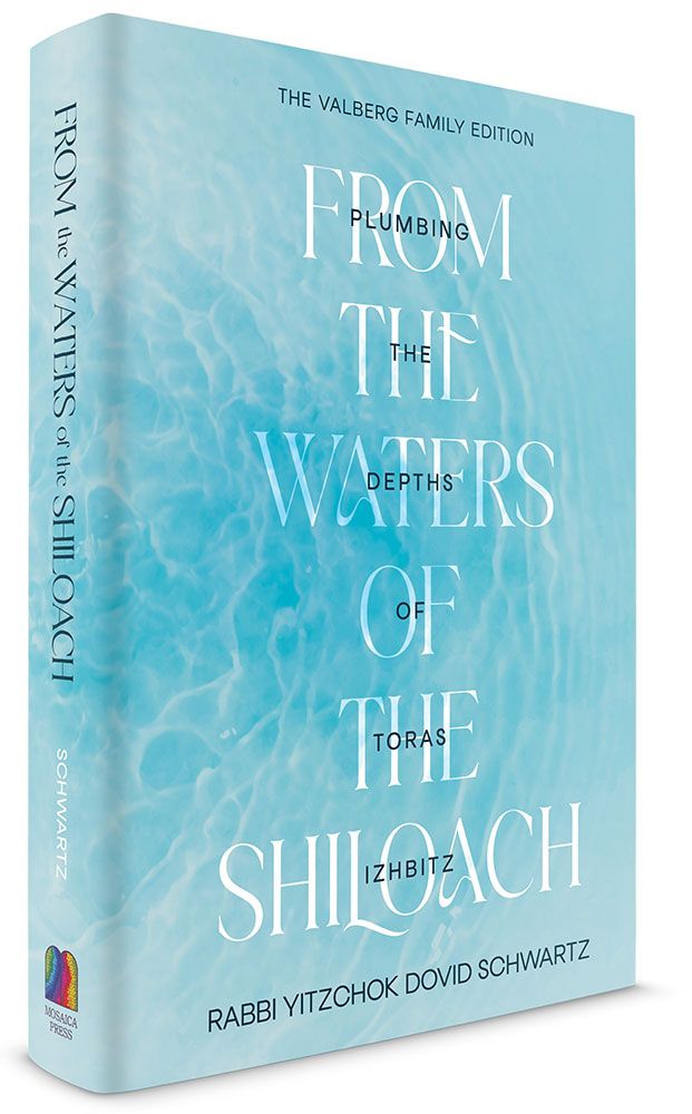 3D view of From the Waters of the Shiloach by Rabbi Yitzchok Dovid Schwartz, hardcover edition