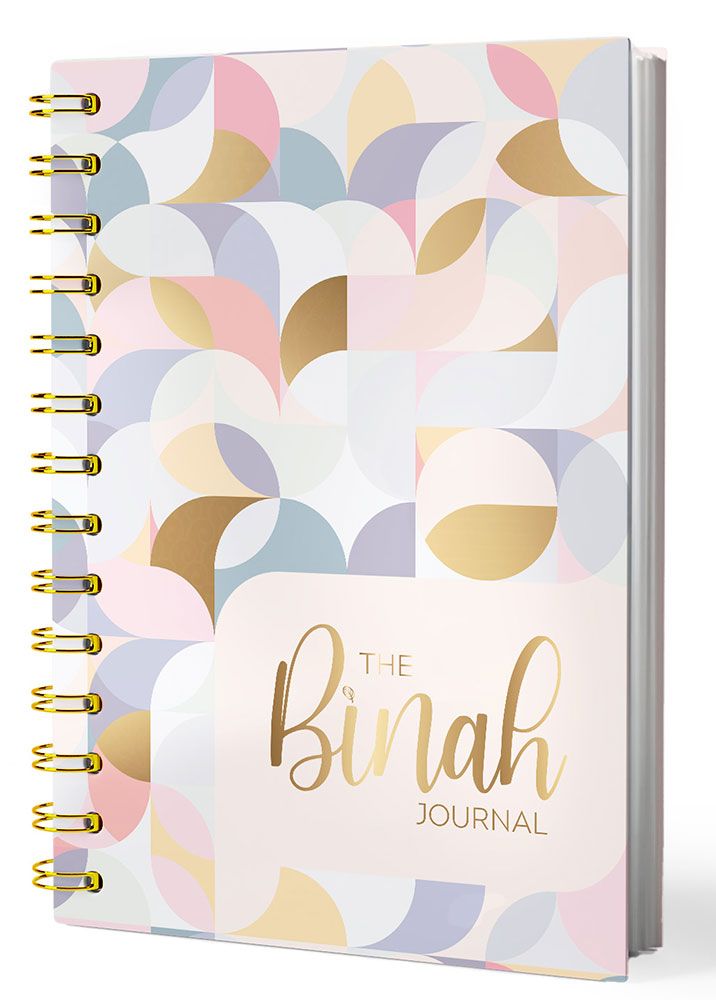 3D view of The Binah Journal by Binah Kornbluth