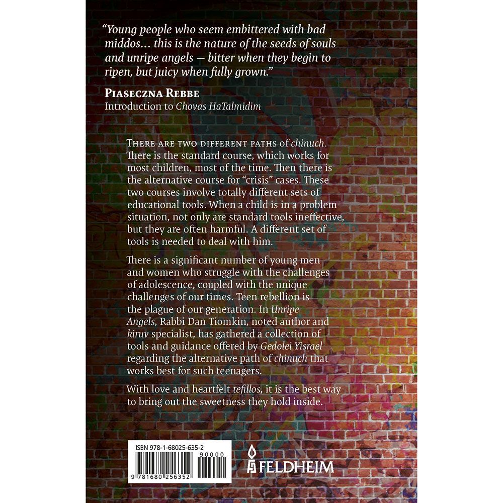 Back cover of Unripe Angels by Rabbi Dan Tiomkin, with the summary and barcode