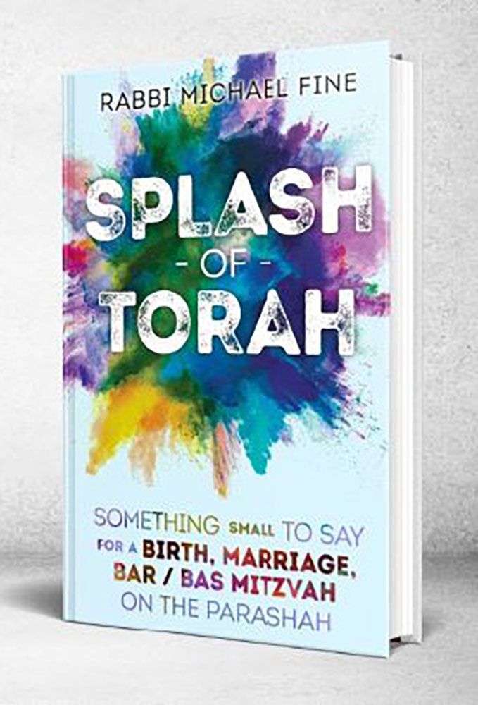 3D view of A Splash of Torah, Life Cycle (Blue): Birth, Marriage, Bar/Bas Mitzvah by Rabbi Michael Fine, hardcover edition