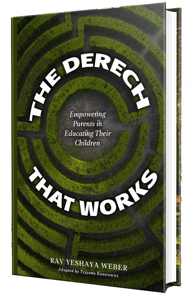 3D view of The Derech That Works by Rav Yeshaya Weber, hardcover edition