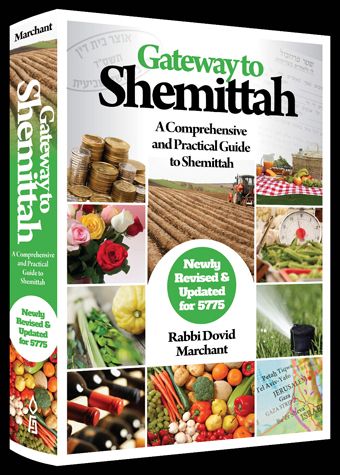 Gateway to Shemittah — cover | Judaica Square Lakewood