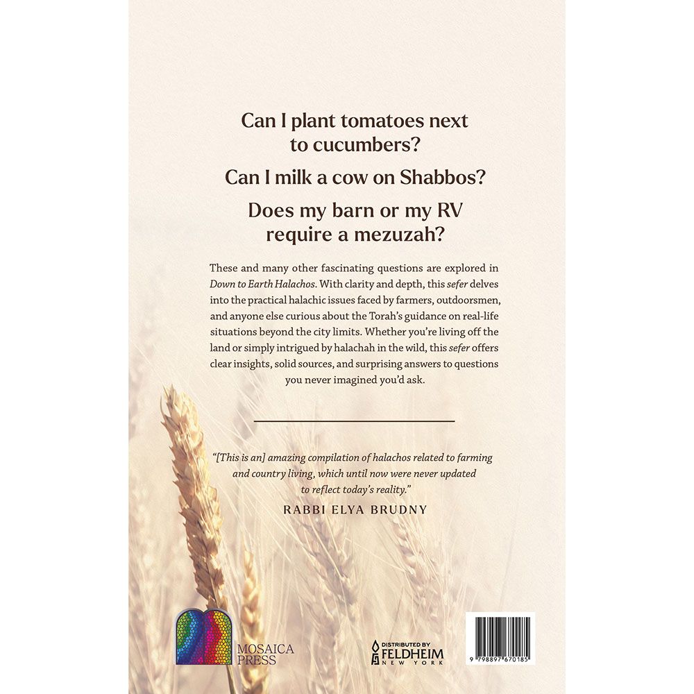 Back cover of Down to Earth Halachos by Rabbi Rafi Levitan, with the summary and barcode