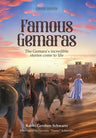 Famous Gemaras — front cover hardcover | Judaica Square Lakewood