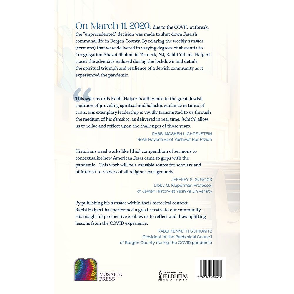 Back cover of Speaking to an Empty Shul by Rabbi Yehuda Halpert, with the summary and barcode