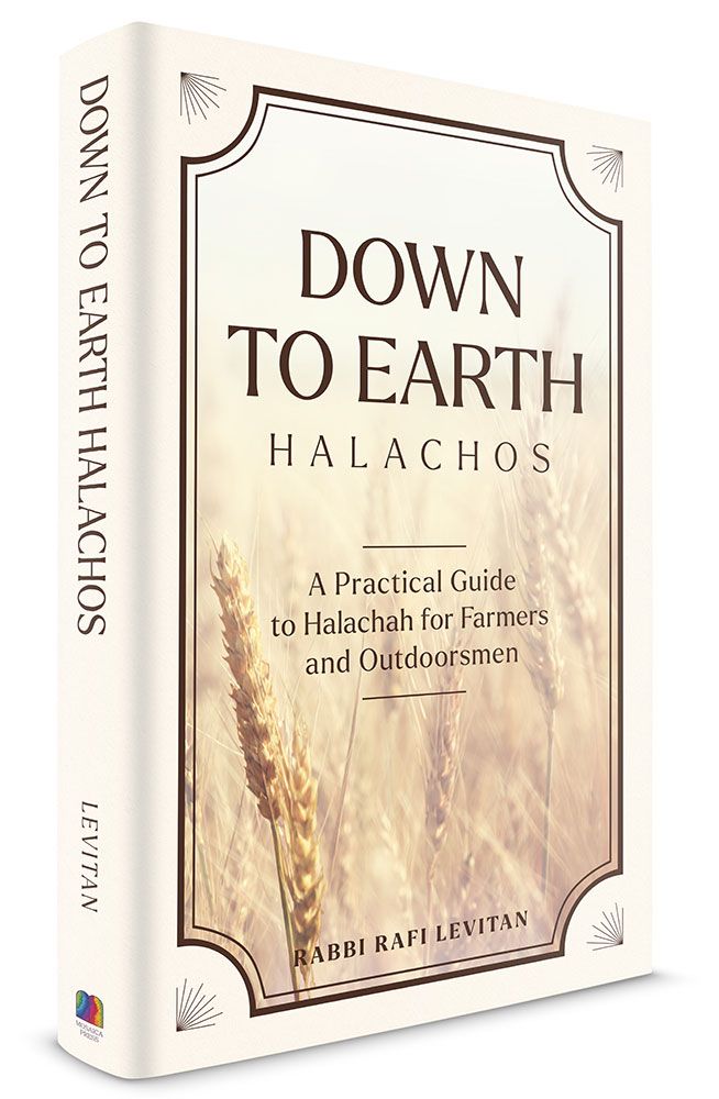 3D view of Down to Earth Halachos by Rabbi Rafi Levitan, hardcover edition
