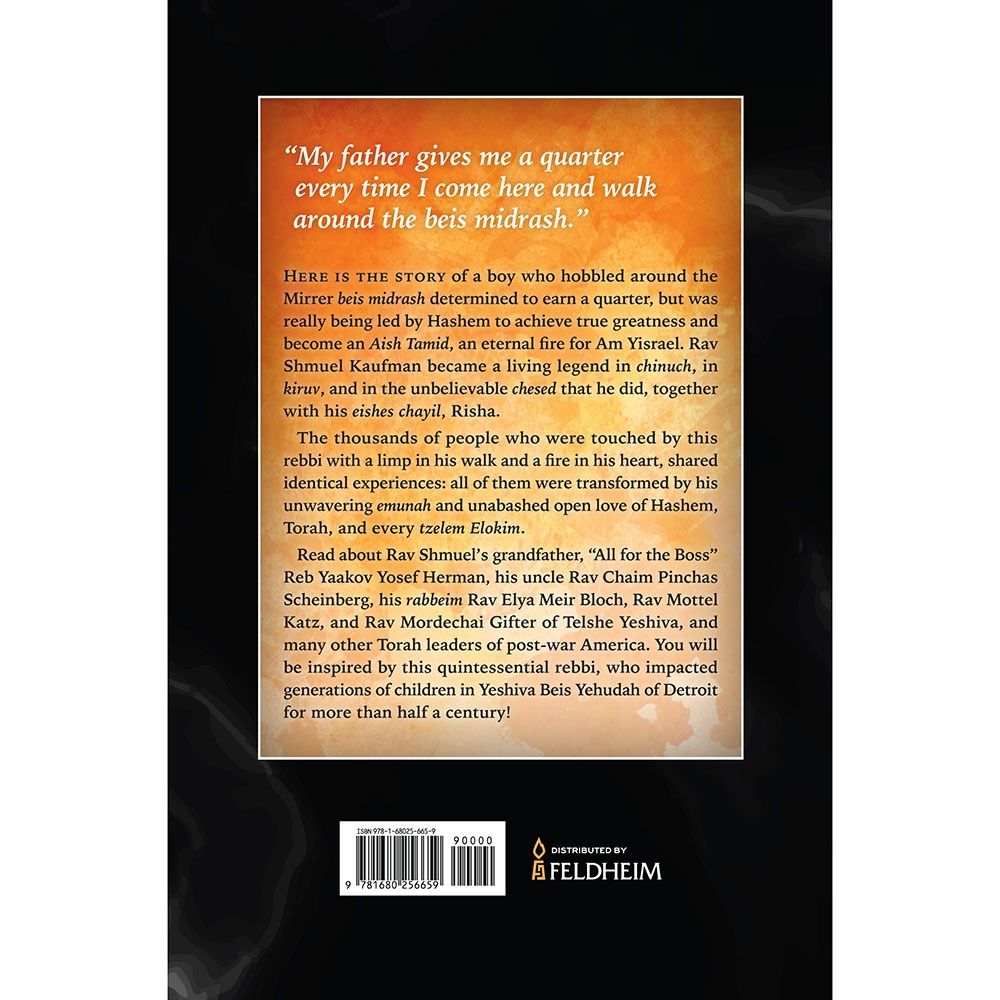 Back cover of Eternal Fire by Shaya Ostrov, CSW, with the summary and barcode