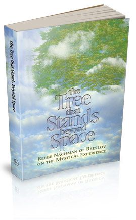 The Tree That Stands Beyond Space — front cover Paperback | Judaica Square Lakewood