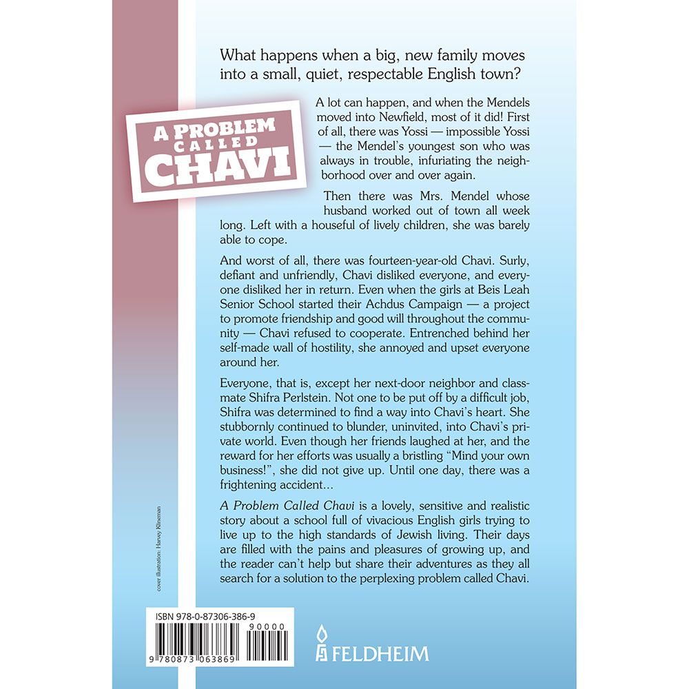 Back cover of A Problem Called Chavi by Eva Vogiel, with the summary and barcode