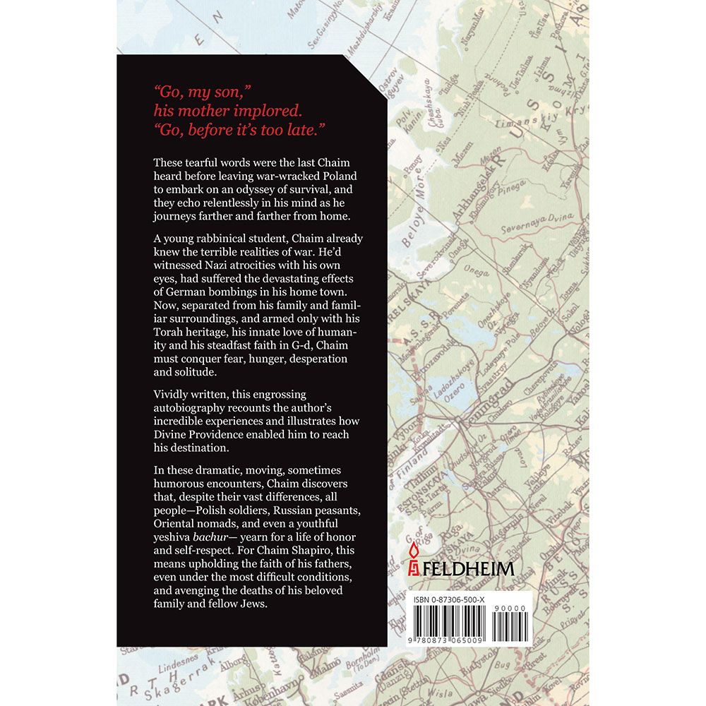 Back cover of Go, My Son by Chaim Shapiro, with the summary and barcode