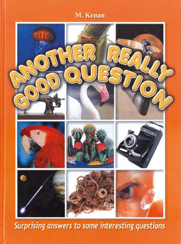 Another Really Good Question — front cover hardcover | Judaica Square Lakewood