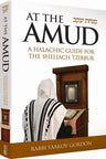 At the Amud, Laws for Shliach Tzibur — front cover | Judaica Square Lakewood