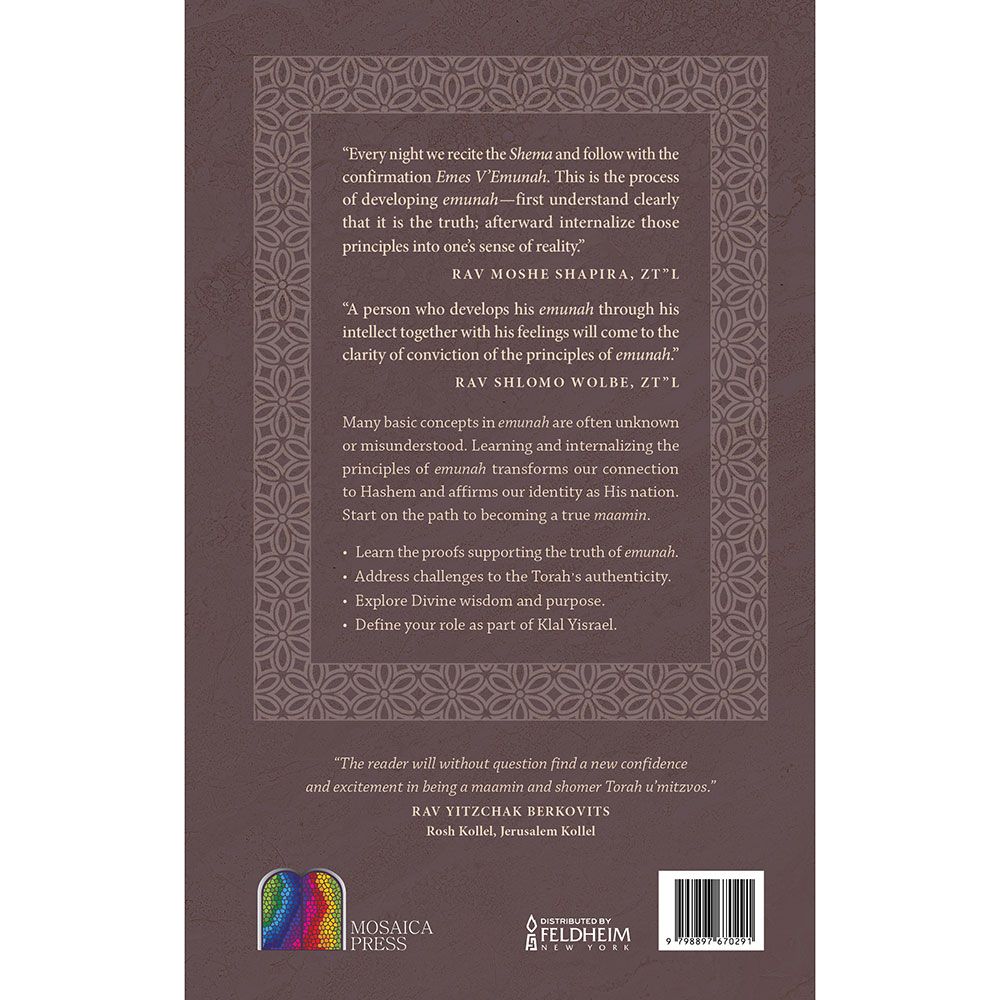 Back cover of Doresh Emunah by Rabbi Dovid Steinhauer, with the summary and barcode