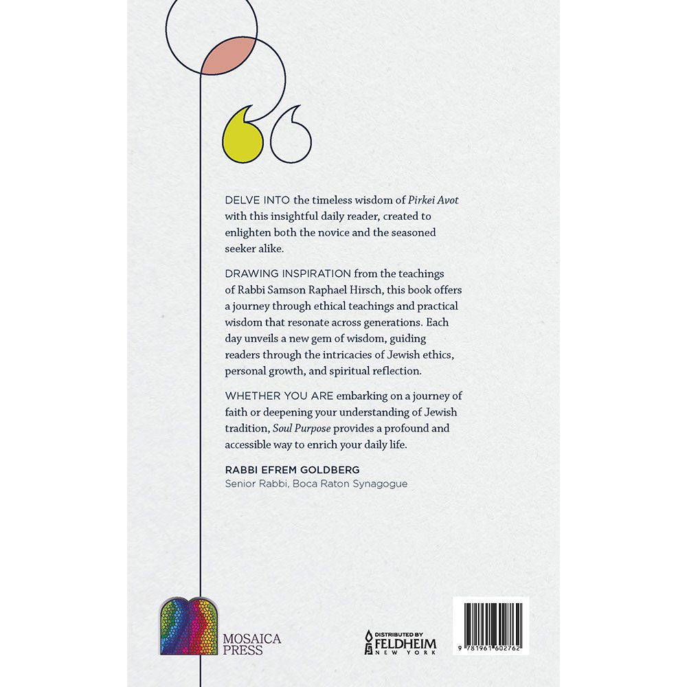 Back cover of Soul Purpose by Ruchi Koval, with the summary and barcode