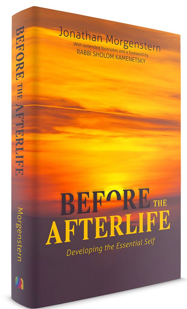 3D view of Before the Afterlife: Developing the Essential Self by Jonathan Morgenstern, hardcover edition