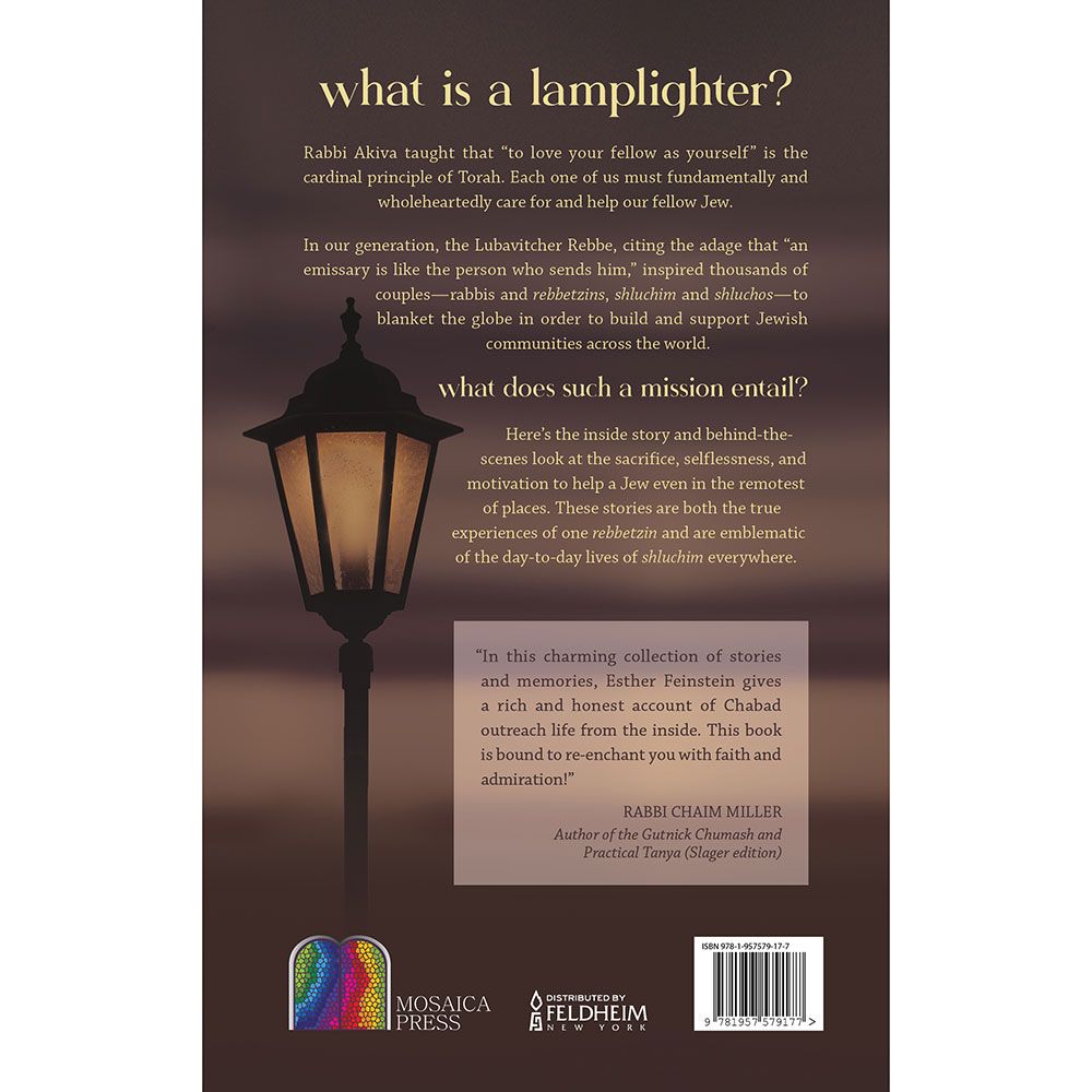 Back cover of The Lamplighter by Esther Feinstein, with the summary and barcode