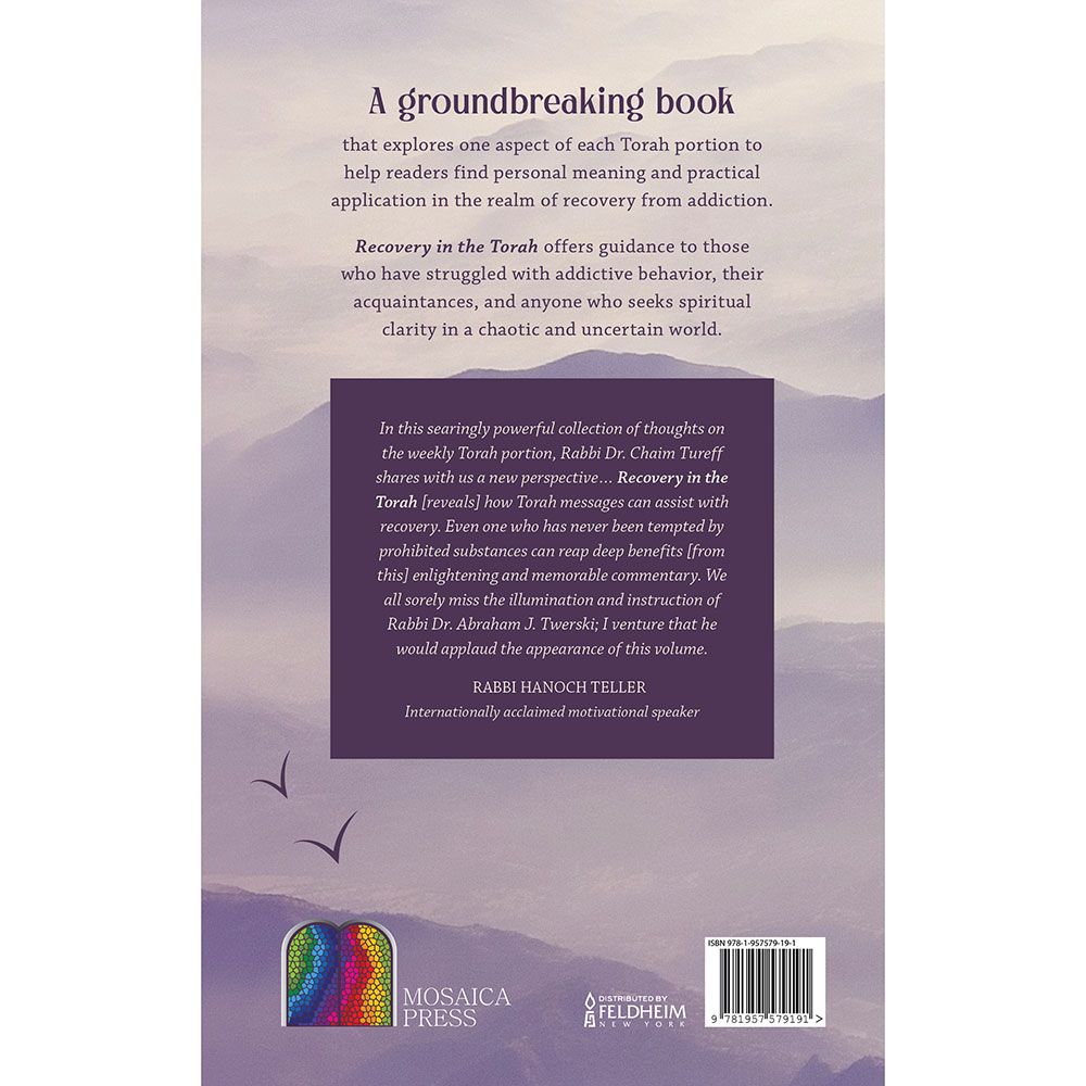 Back cover of Recovery in the Torah: Models of Spirituality and Healing, with the summary and barcode