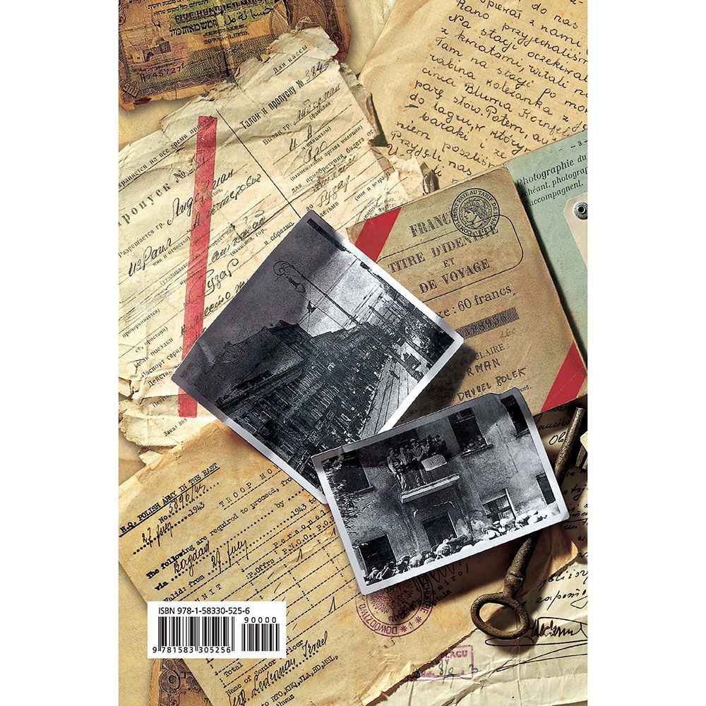 Back cover of These Children Are Mine by Dov B Lederman, with the summary and barcode