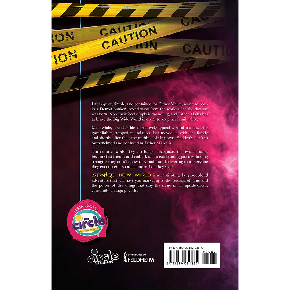 Back cover of Strange New World by Rochel Burstyn, with the summary and barcode