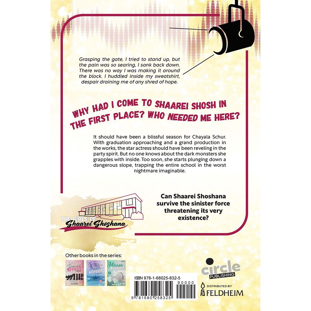 Back cover of Sound Effect by Rochel Braverman, with the summary and barcode