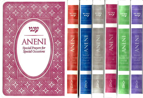 Aneni Simcha Mini Edition — cover | Judaica Square Lakewood