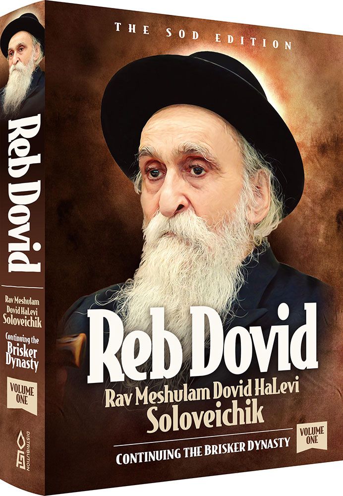 Reb Dovid, Volume 1 — 3d | Judaica Square Lakewood