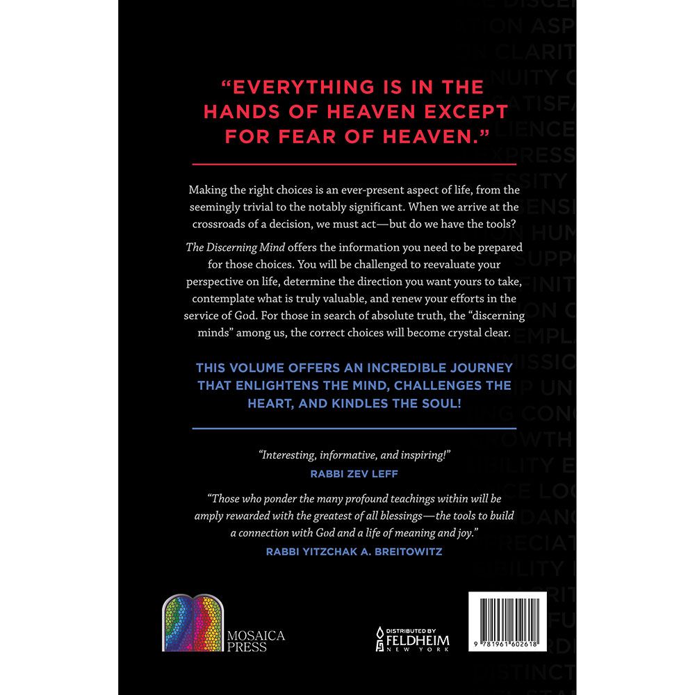 Back cover of The Discerning Mind by Mordechai Aryeh Schulgasser, with the summary and barcode