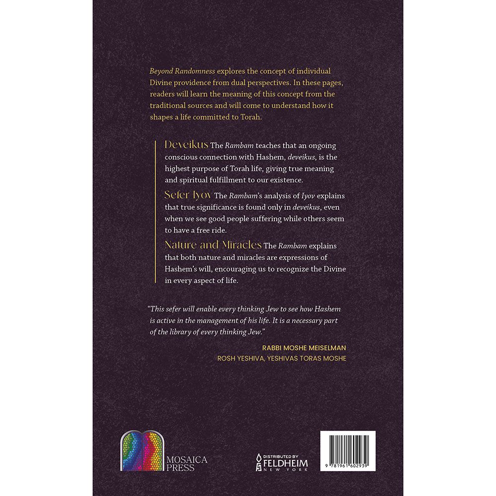 Back cover of Beyond Randomness by Rabbi Dr. David Gottlieb, with the summary and barcode