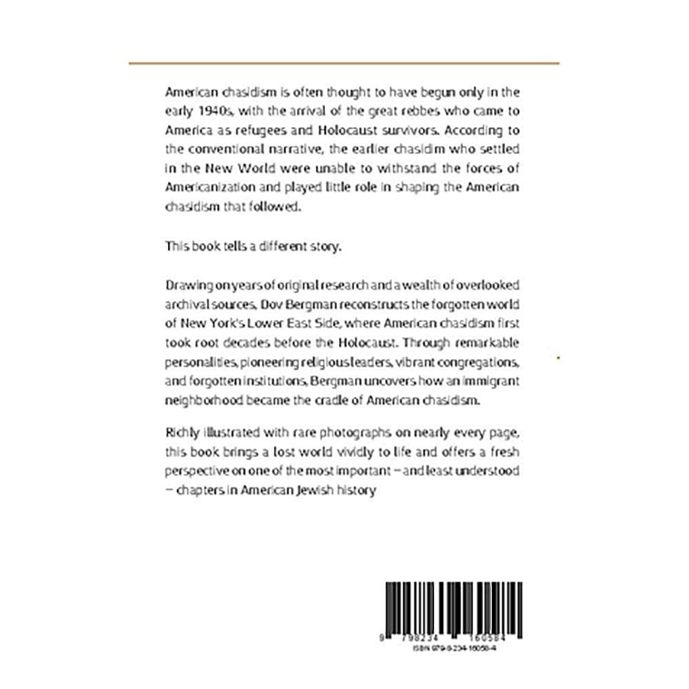 Back cover of The Lower East Side, with the publisher summary of the book's archival research