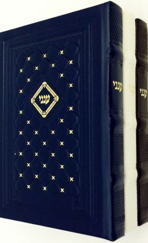 Aneni: Leather Edition, White — Leather cover | Judaica Square Lakewood