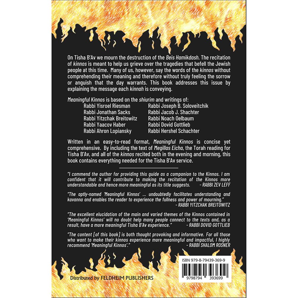 Back cover of Meaningful Kinnos by A. Broder, with the summary and barcode