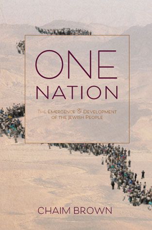 One Nation (hardcover)