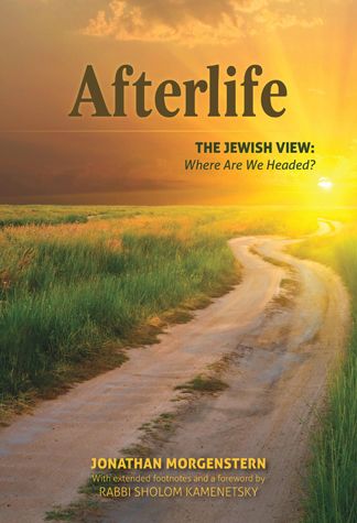 Afterlife, The Jewish View (hardcover)