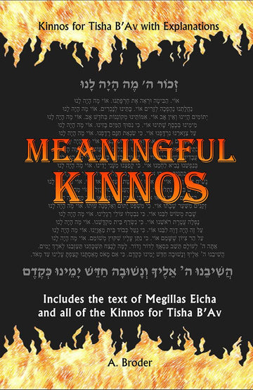 Cover of Meaningful Kinnos by A. Broder, paperback edition