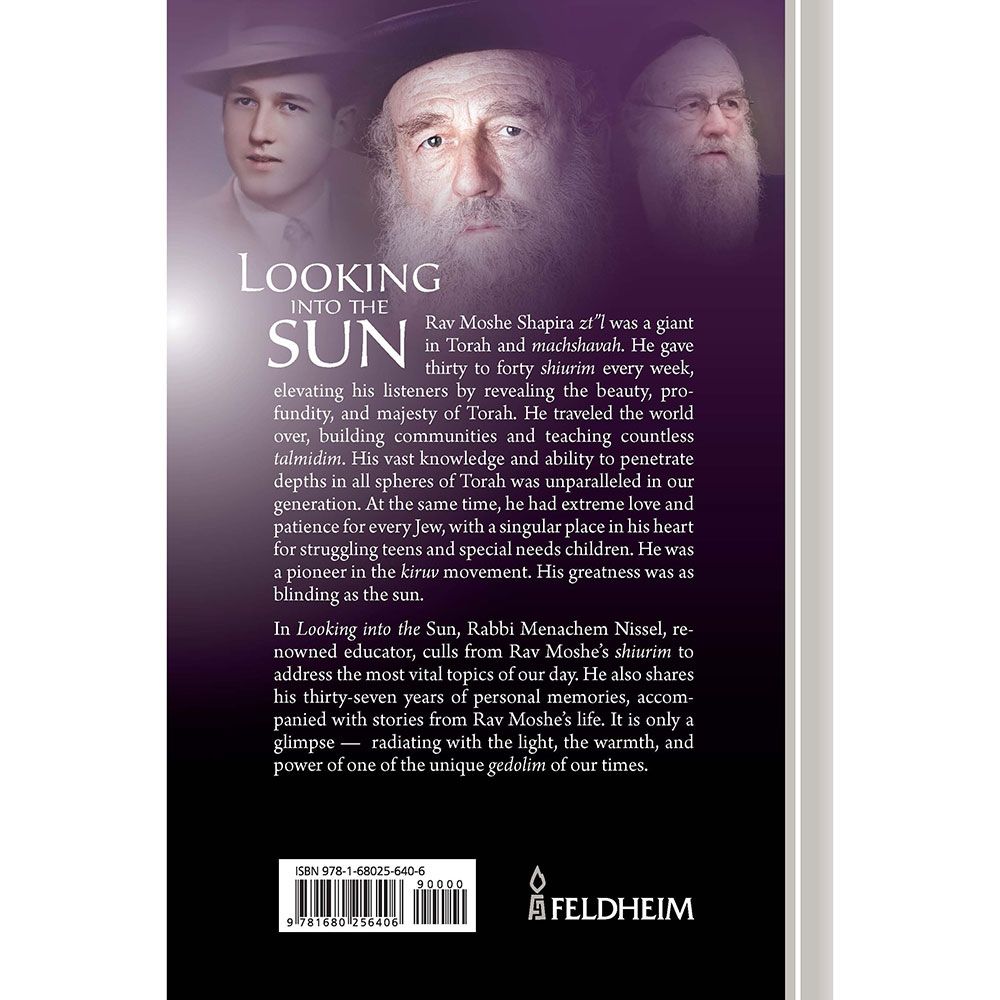 Back cover of Looking into the Sun by Rabbi Menachem Nissel, with the summary and barcode
