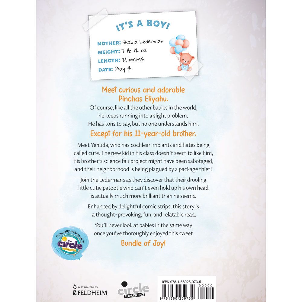 Back cover of Bundle of Joy: A Comic-Novel Hybrid by Rochel Burstyn, with the summary and barcode