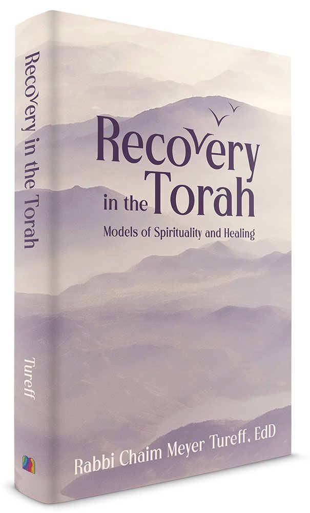 3D view of Recovery in the Torah: Models of Spirituality and Healing by Rabbi Chaim Meyer Tureff, hardcover edition