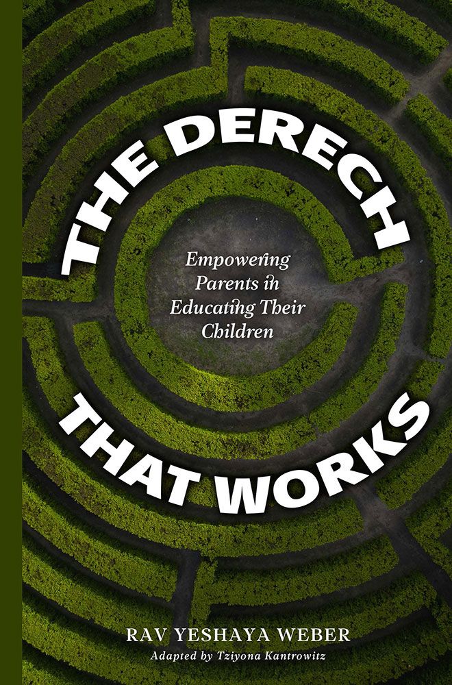 Derech That Works — front cover hardcover | Judaica Square Lakewood