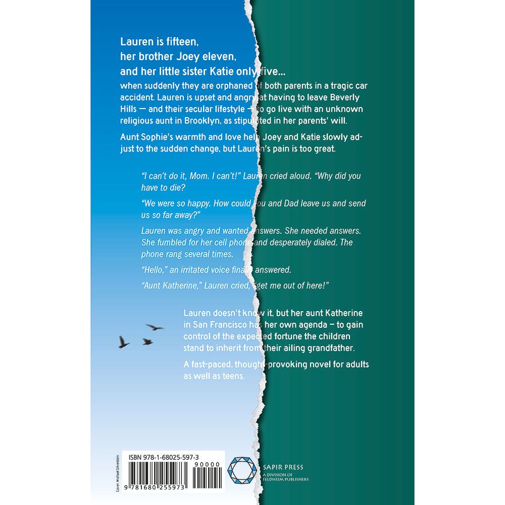 Back cover of Where There's a Will by Bracha Rosman, with the summary and barcode