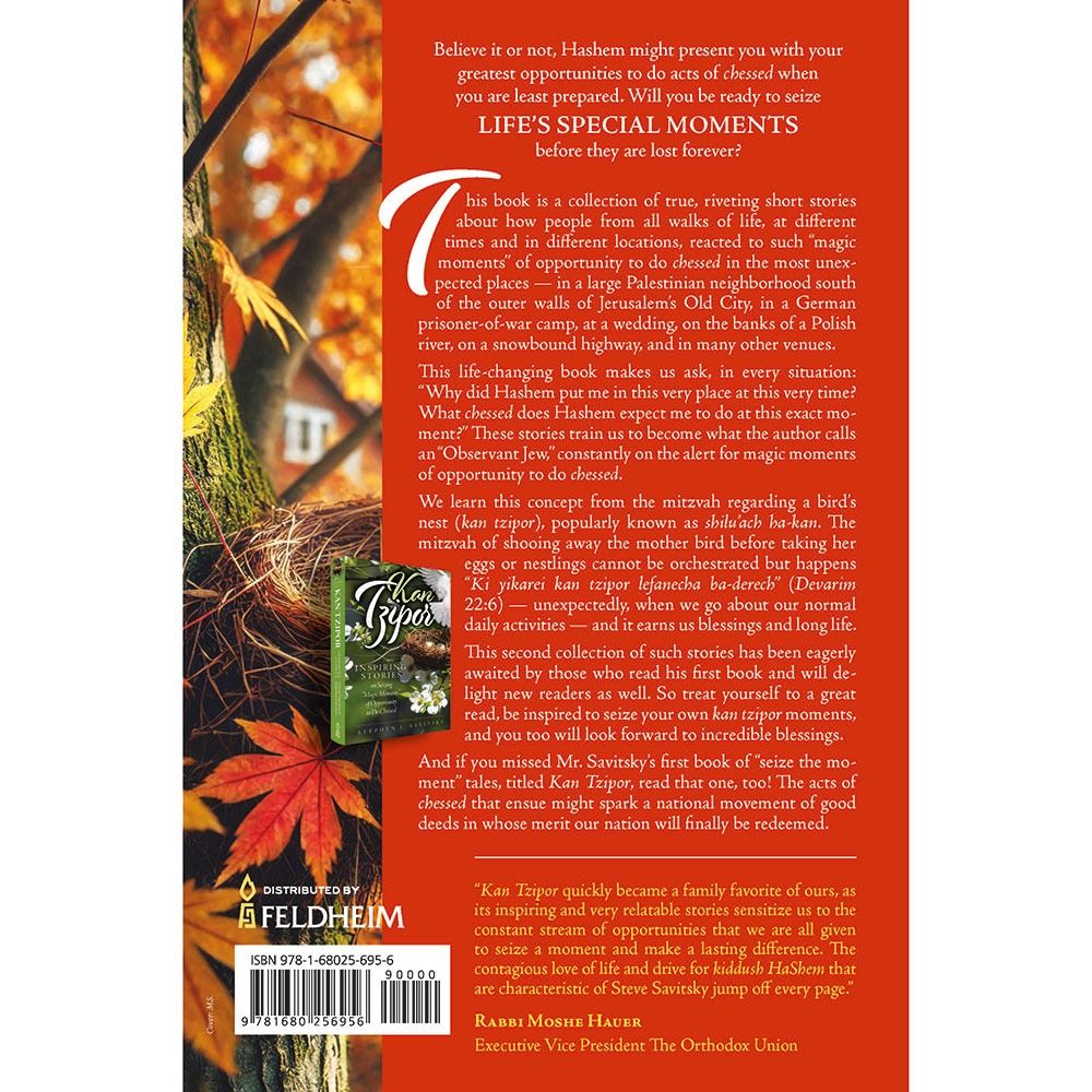 Back cover of Life's Special Moments by Stephen J. Savitsky, with the summary and barcode