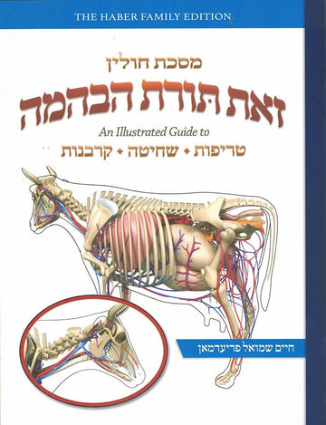 Zos Toras HeBehaima - Chullin (Eng) — front cover hardcover | Judaica Square Lakewood